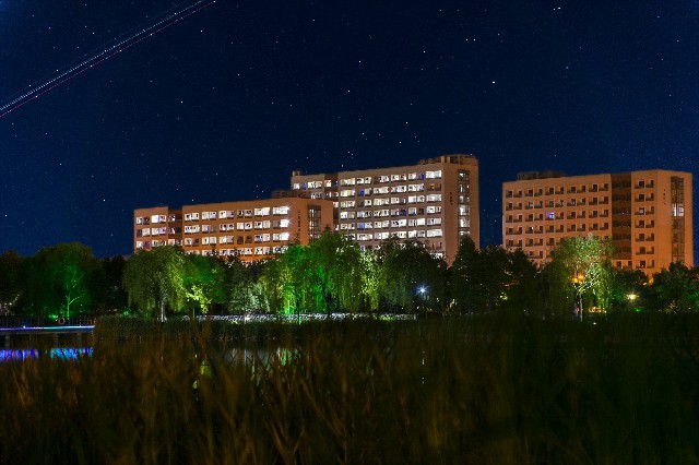 星空下的丹凤楼